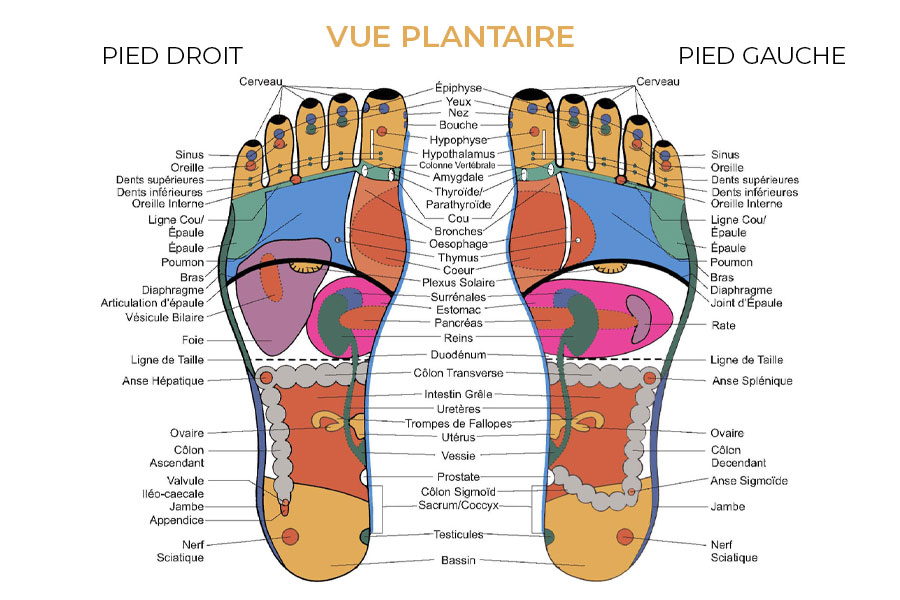 L’art du bien être par les pieds